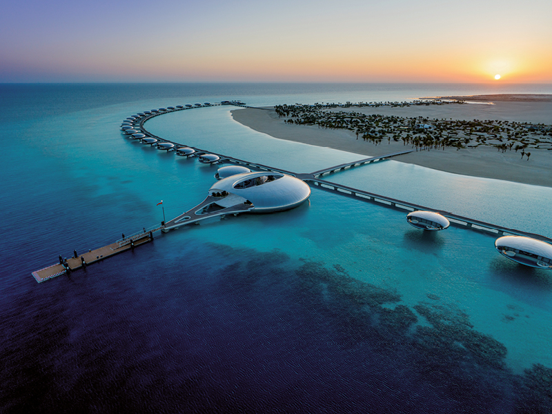 Schwimmende Schönheit