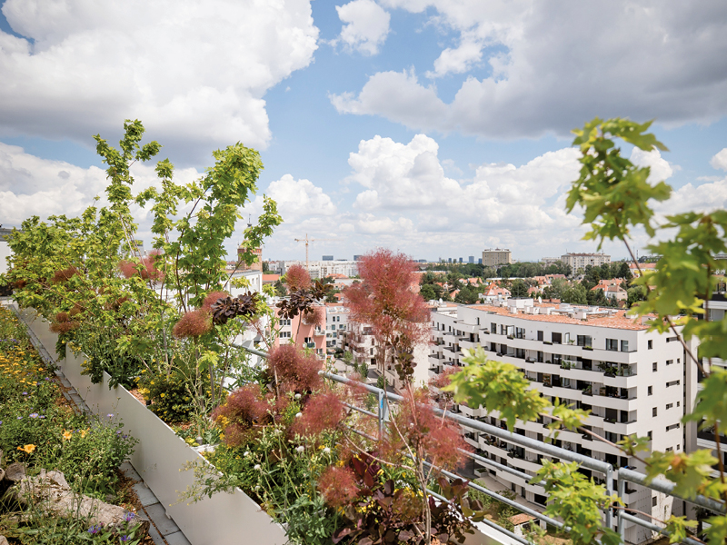 IBA-Quartier „Biotope-City”: