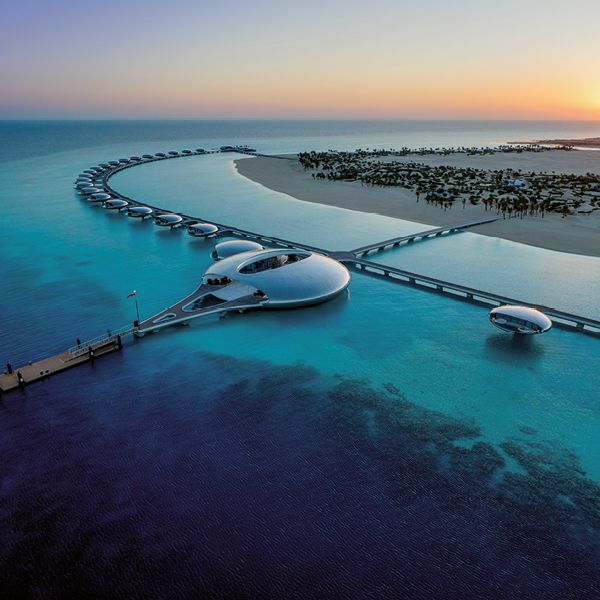 Schwimmende Schönheit