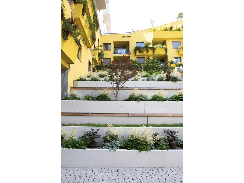 Begrünung und Entsiegelung: